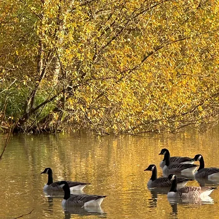 Loft De Charme Au Milieu De La Nature Avec Piscine * Les-Loges-en-Josas