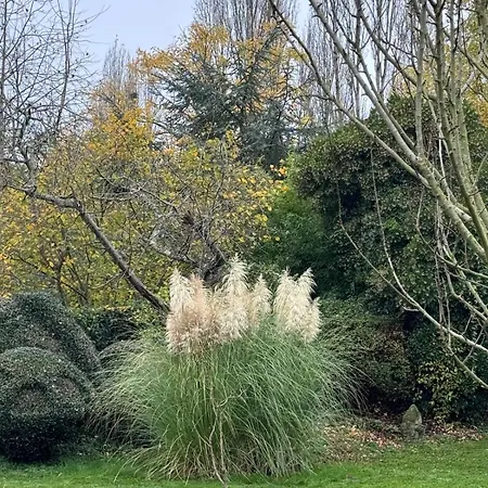 Loft De Charme Au Milieu De La Nature Avec Piscine * Les-Loges-en-Josas