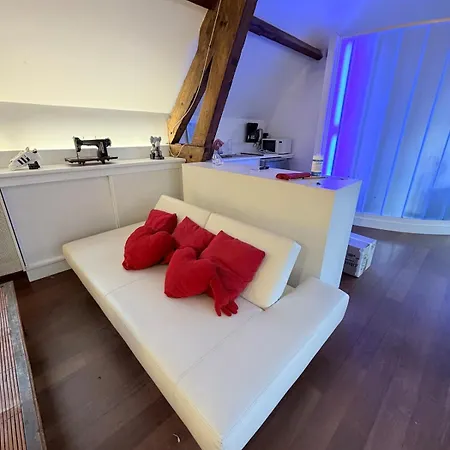 Loft De Charme Au Milieu De La Nature Avec Piscine Apartman Les-Loges-en-Josas